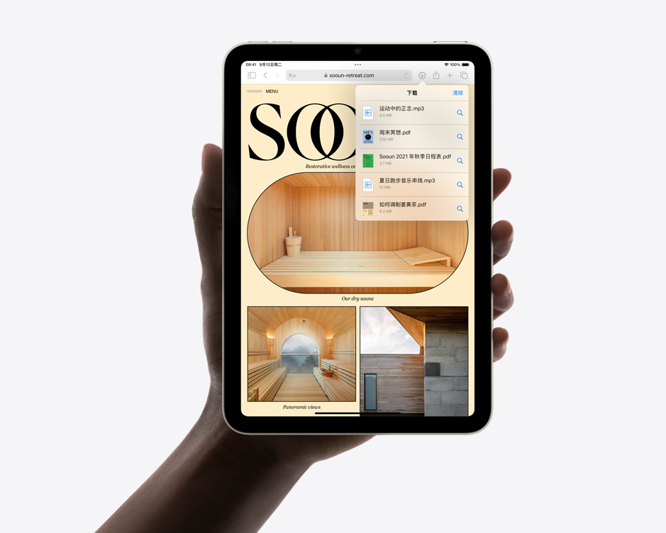 iPad mini 上的 Safari 浏览器
