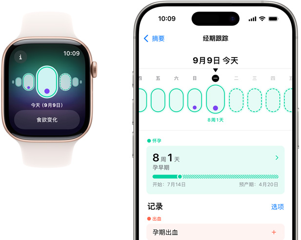 Apple Watch 屏幕显示孕期情况的记录，比如食欲变化。iPhone 屏幕显示经期跟踪 app，展示孕龄和孕期情况的记录。